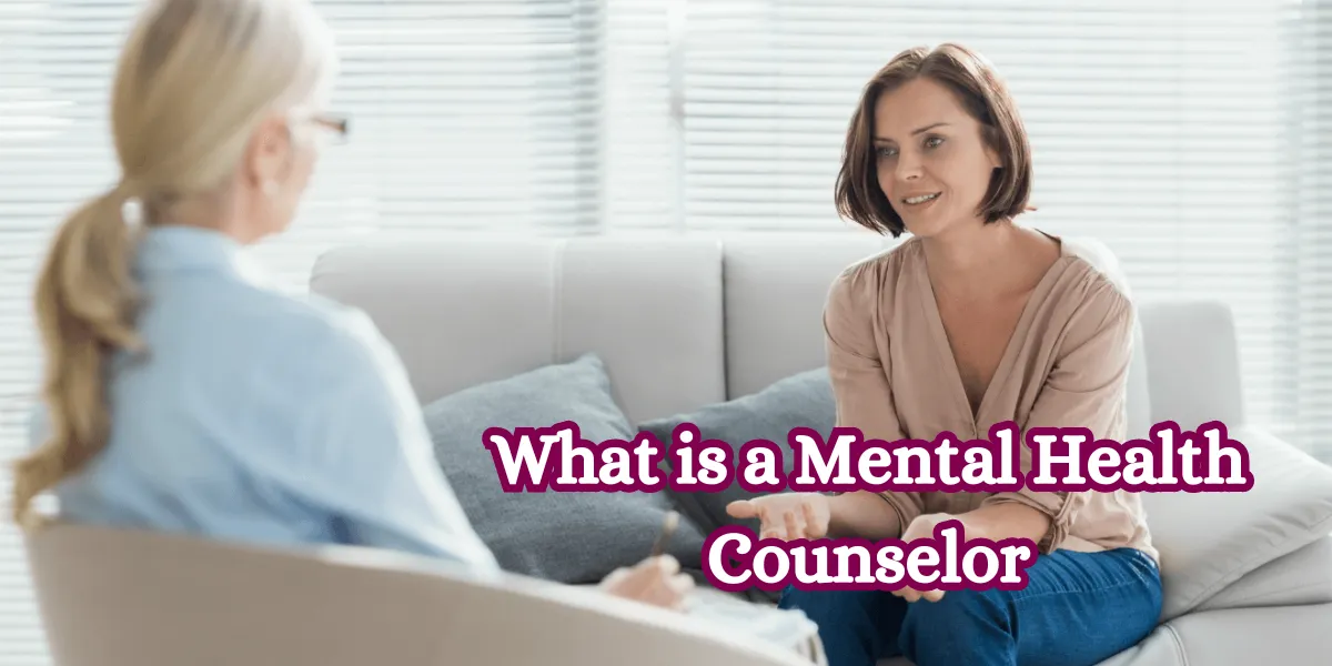 What is a Mental Health Counselor