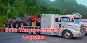 ecko transportation & logistics (1